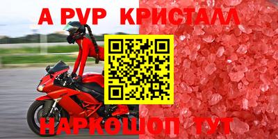 крисы Кулебаки
