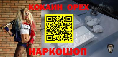 крисы Кулебаки