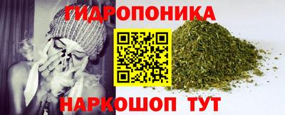 гашик Ливны