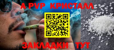 крисы Кулебаки